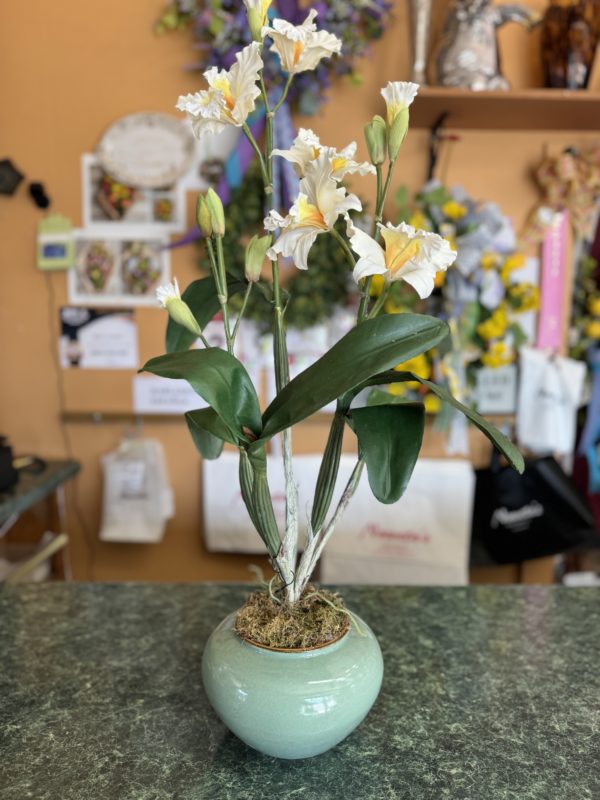 White Silk Orchid in Ceramic Vase